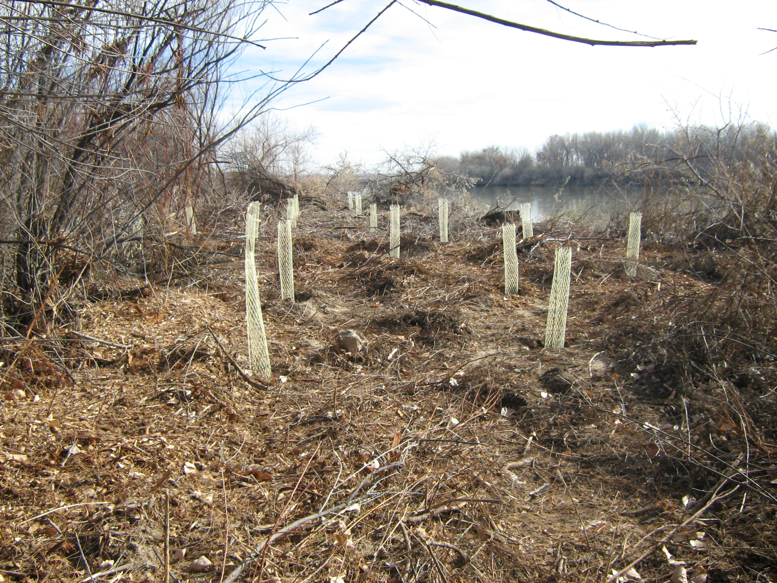 Utah's Watershed Restoration Initiative