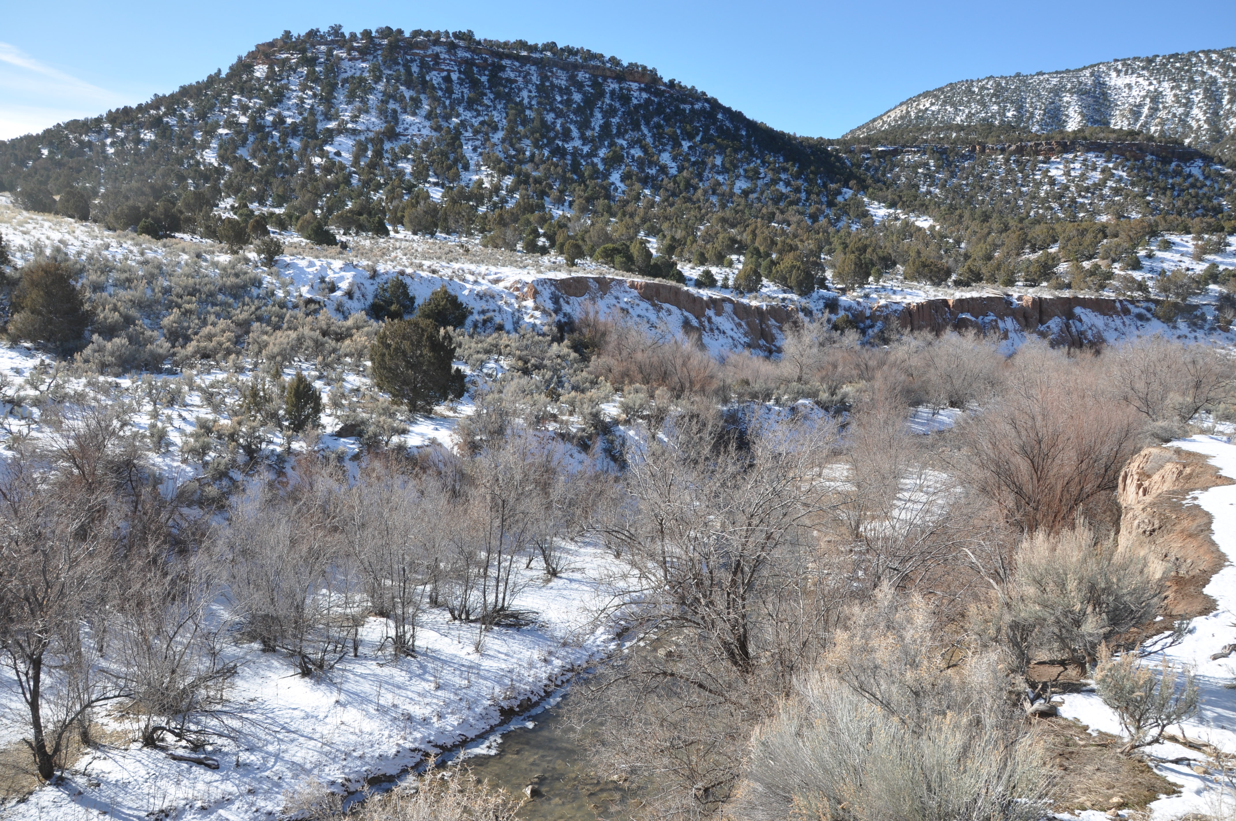 Utah's Watershed Restoration Initiative