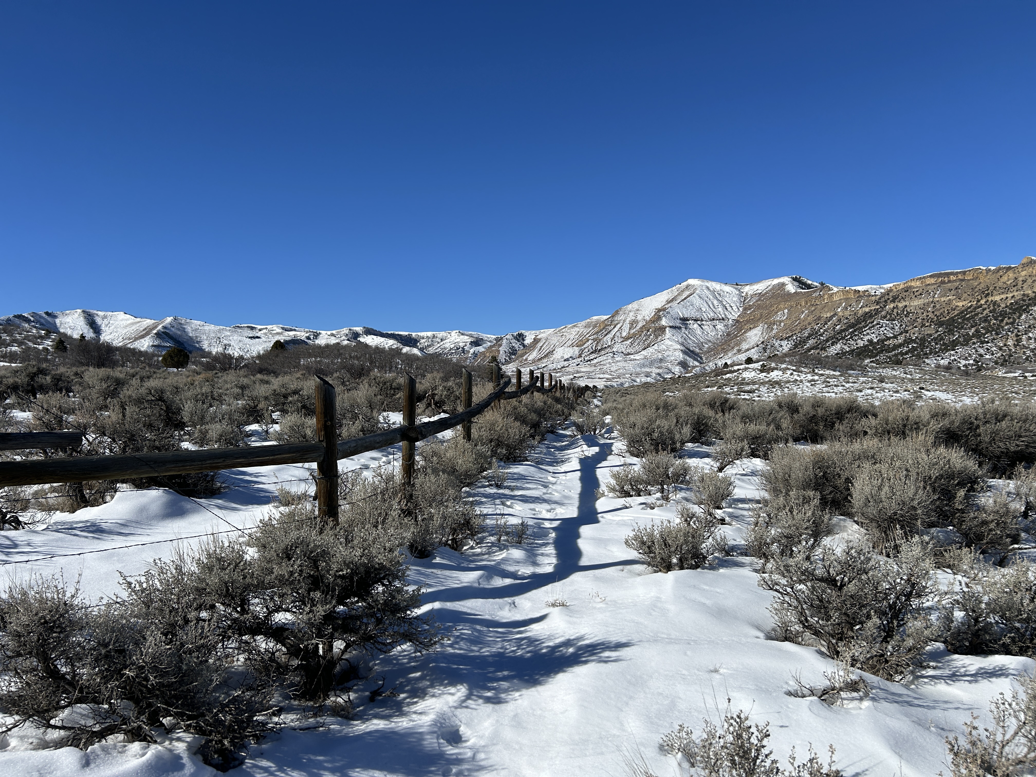 Utah's Watershed Restoration Initiative