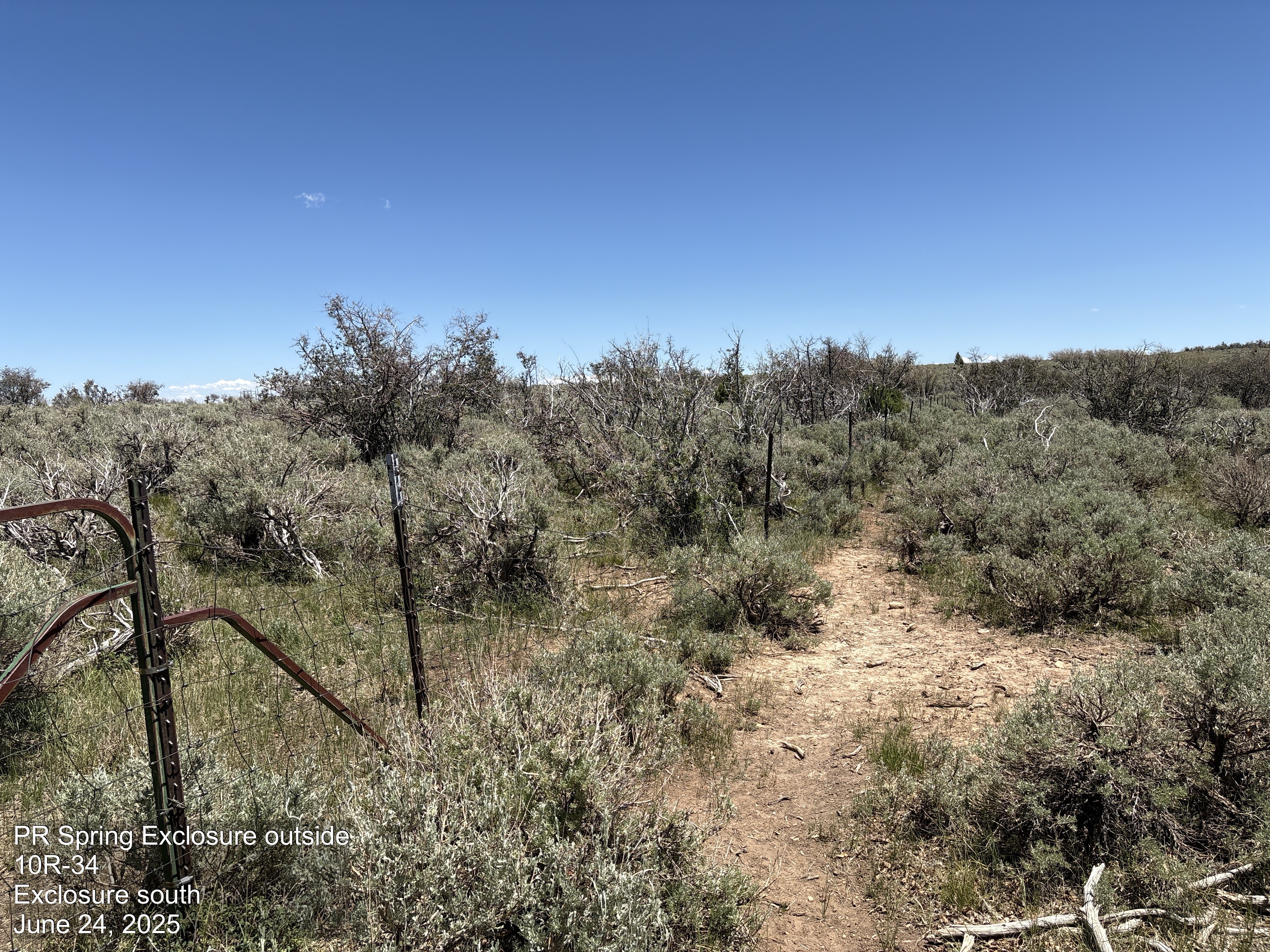 Utah's Watershed Restoration Initiative